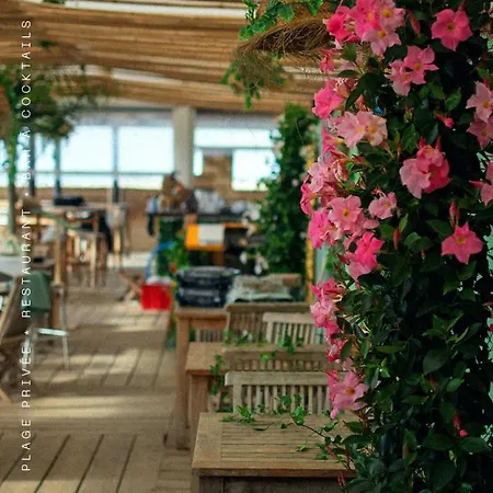 Gruissan Chalet Authentique 50M De La Plage * Gruissan